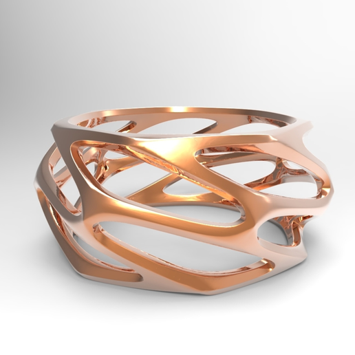 Parametric Ring 3D model