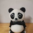 IMG_20240219_062706.jpg Cute multicolor articulated panda
