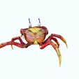 0_00032.jpg Crab - DOWNLOAD Crab 3d Model - animated for Blender-Fbx-Unity-Maya-Unreal-C4d-3ds Max - 3D Printing Crab Crab Crab - POKÉMON - DINOSAUR
