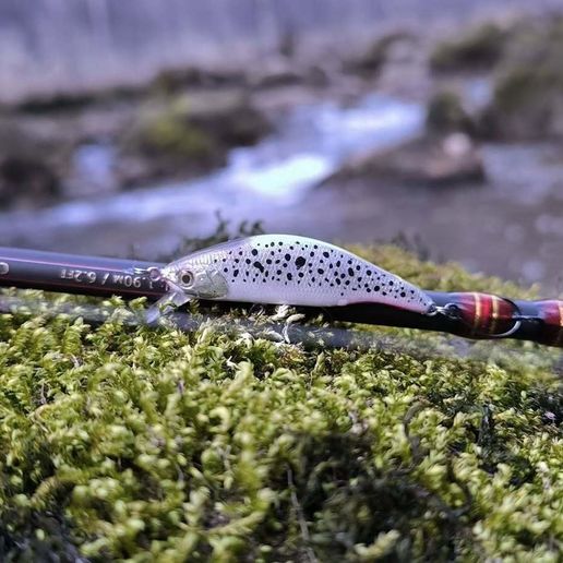 trout lure STL File for 3D printingCults