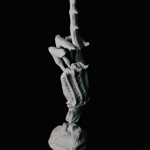 Screenshot-2023-12-14-at-23.53.49.jpeg Middle Finger