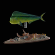 my_project-1.png mahi mahi / dorado / common dolphinfish underwater statue detailed texture for 3d printing