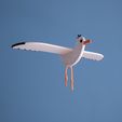 _DSF6521.jpg STL file Gaetano - The swinging seagull・3D printing template to download