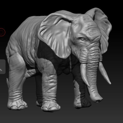 Capture.PNG Fichier STL gratuit Éléphant・Plan à télécharger et à imprimer en 3D