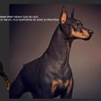 doberman-model-stl-3d-model-6656f81d33.jpg Dobermann Modell STL