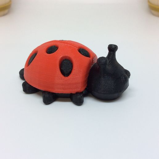 IMG_1634.jpg MARIENKÄFER & IGEL & BIENE