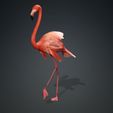 8640-POLY.jpg DOWNLOAD Flamingo 3D MODEL ANIMATED - BLENDER - 3DS MAX - CINEMA 4D - FBX - MAYA - UNITY - UNREAL - OBJ -  Flamingo DINOSAUR DINOSAUR Flamingo DINOSAUR BIRD