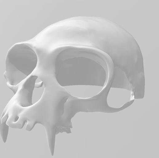 Screenshot-2024-10-26-095931.png Primal Beast Fangs Skull