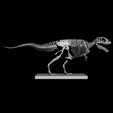 1000045173.png Carcharodontosaurus Skeleton