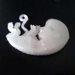fetus_keychain.jpg Fichier 3D gratuit Porte-clés fœtus・Plan pour impression 3D à télécharger