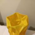 IMG_20180323_211259870.jpg Free STL file Geometric Vase・3D printing design to download