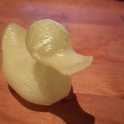20150529_235617_display_large.jpg Ducky