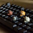 Dogys_keycaps-08.jpg Doggies Tastenkappen - Mechanische Tastatur