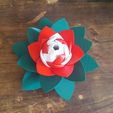 20190706_103414.jpg Flower Puzzle