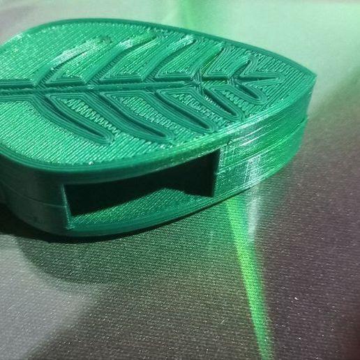 hojita.jpg Hoja Tutor/Guia