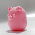 Zodiac-Pig5.jpeg ゾディアック・ピッグ