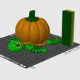 4.jpg Print In Place Cute Flexi Pumpkin Turtle