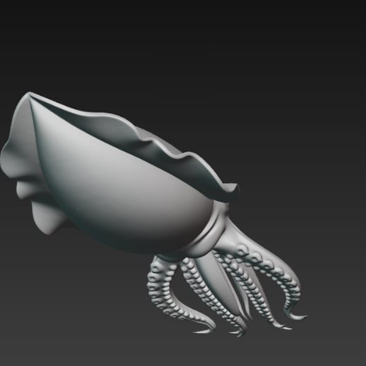 👾 cuttlefish・ 3MF File for 3D printing・Cults