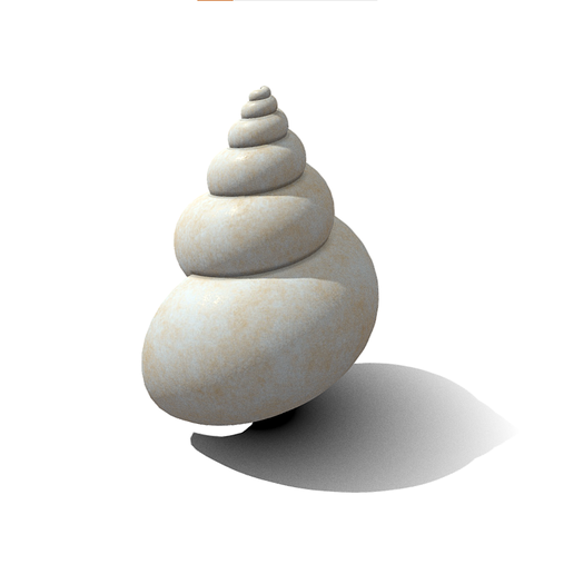 🐚 shell・ STL File for 3D printing・Cults