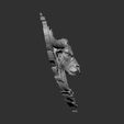 tt-3.jpg an aggressive bull head seamlessly