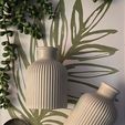 Concrete-Decor-Vase-Mini-Ribbed-Turbine-Rounded-Vase.jpg Striped Vase