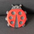 Cod281-Ladybug-Coaster-6.jpeg Ladybug Coaster