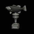 peacock-bass-trophy-3-1-2-25.png Peacock bass (Cichla ocellaris) fish trophy cup 2 for 3d printing