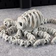 IMG_7982.jpg Articulated Skeleton Octopus