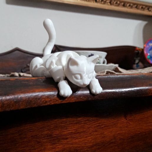 20220316_205958.jpg beautiful flexible kitten