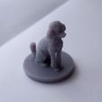 IMG_20230228_105721.jpg Poodle Miniature/Statue