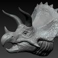 05.jpg Triceratops Head