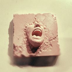 20190411_182320.jpg STL file Cry・3D print design to download