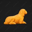1061-Basset_Griffon_Vendeen_Petit_Pose_07.jpg Basset Griffon Vendeen Petit Dog 3D Print Model Pose 07