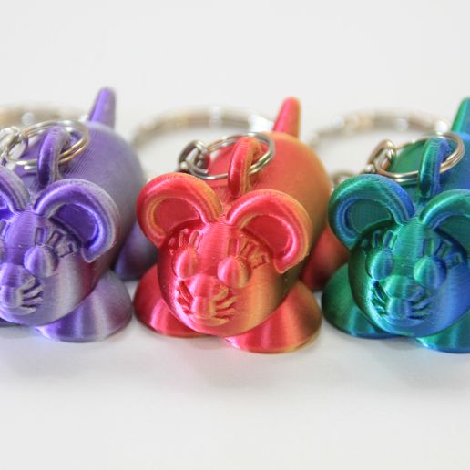 IMG_1264.jpg PLP-SOURIS