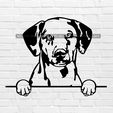 murbrique.jpg dalmatian dog wall decoration