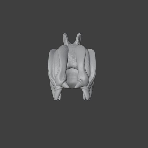 Screenshot-from-2026-03-23-00-22-57.png Custom Dilophosaurus Headsculpt (2 versions)