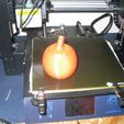 SDC10002.JPG 3d scann of real pumpkin