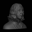 Blender_-C__Users_Tirtho_Music_blender_snape.blend-12_25_2023-2_06_44-PM.png Master of Potions: Professor Snape 3D Printable Bust
