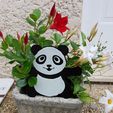20170731_094447.jpg PANDA
