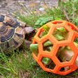 IMG-20230523-WA0002.jpg Tortoise Feeder Environment Enrichment Toy Hex Ball Easy Print No Supports