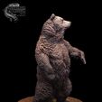 033.jpg Grizzly Bear and Scenic Base Presupported