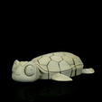 Myrtle,-the-Turtle-7.png Myrtle, la tortue
