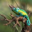 Trioceros-Jacksonii_Base_Szene_Schabe1.jpg Three-horned chameleon - (Trioceros jacksonii)-STL 3D print file incl. originals (Cinema, Zbrush) with full-size texture high polygon