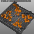 Images.jpg Claws