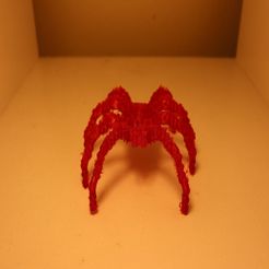 IMG_2701.JPG Ruby Spider