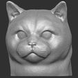 1.jpg British Shorthair cat head for 3D printing