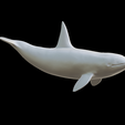 Capture-d’écran-2023-07-06-à-12.27.33.png whale