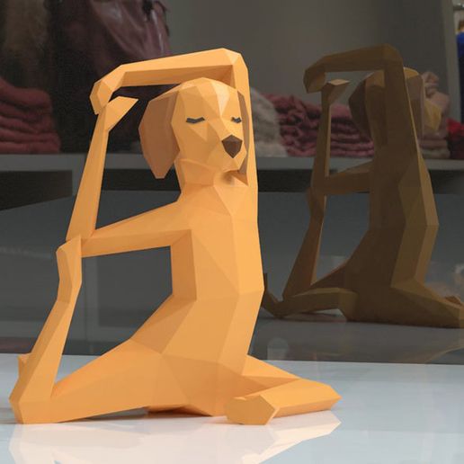 il_794xN.2044738669_oana-1.jpg YOGA DOG