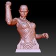 WonderWoman_0008_Layer 25.jpg Wonder Woman Gal Gadot 3d print bust