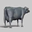 R05.jpg dairy cow pose 01